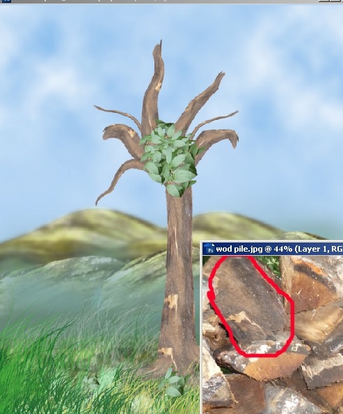 Creation of Tree: Step 1